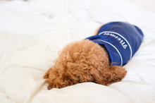 Load image into Gallery viewer, FREE Personalized Silk Cute Pajamas for Small Dogs and Cats